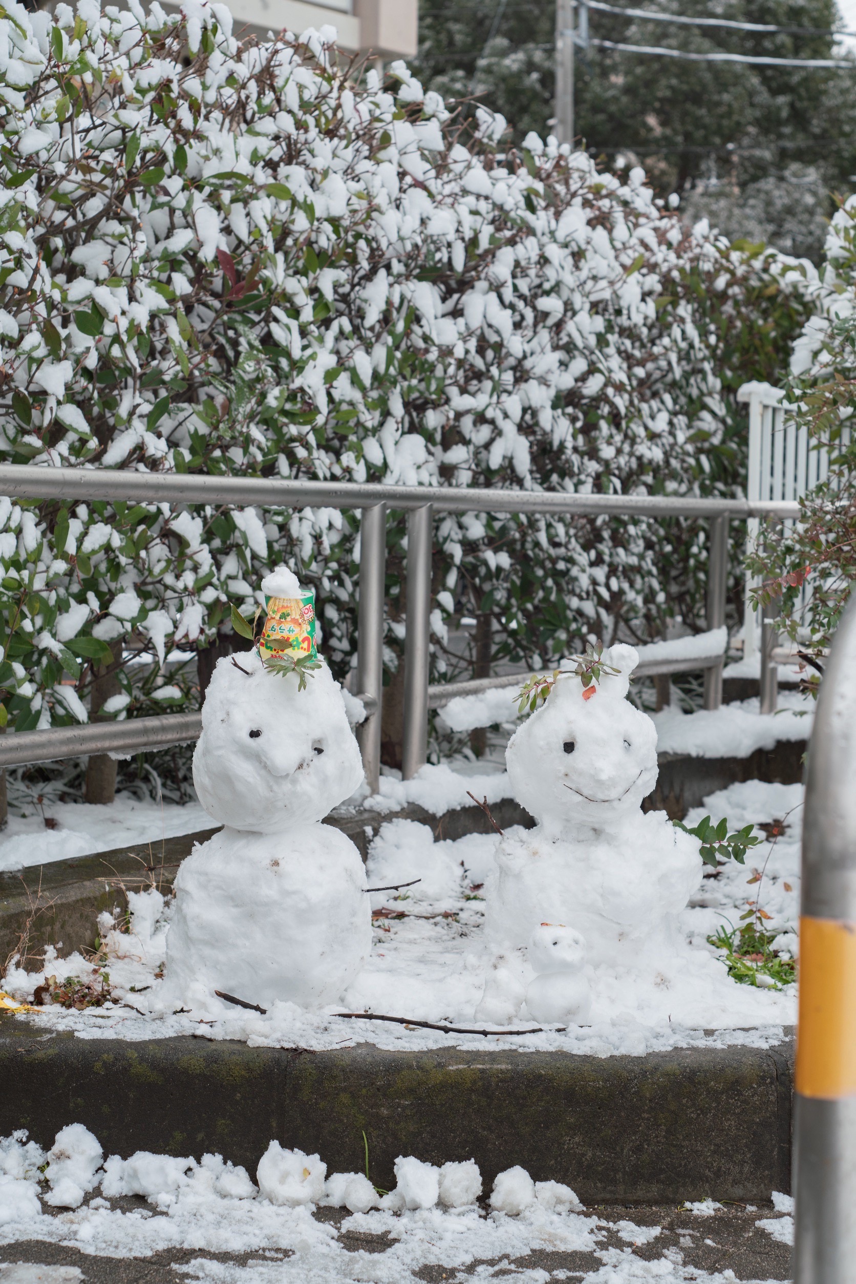 東京の雪×オールドレンズ(Super Takumar 55mm F1.8) | ゆずゆの