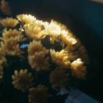 Thumbnail of post image 045