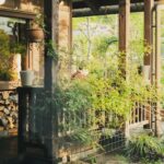 Thumbnail of post image 079