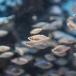 Thumbnail of post image 035