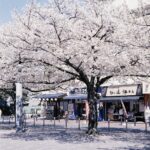 Thumbnail of post image 106