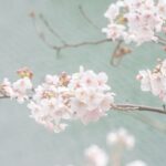 Thumbnail of post image 127