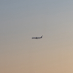 Thumbnail of post image 183